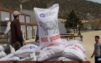 Büyükşehir’in üreticilere yem desteği sürüyor
