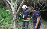 Serik’te ağlara dolanan yılanı itfaiye kurtardı
