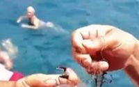 Alanya’da ağa takılan yengeçler kurtarıldı
