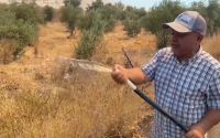Antalya’da alevlerin yaklaştığı mahallede vatandaşlar hortumlarla nöbette

