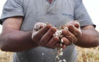 Çandır fasulyesi için coğrafi işaret başvurusu yapıldı
