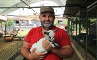 Kafasındaki poşetle sürüye kabusu yaşatan keçinin sahibi: 