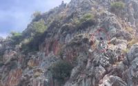 Alanya’da denize ölümüne atlayış
