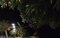 Alanya’da sahilde kaybolan çocuk, patenci Rus kadın sayesinde bulundu
