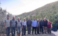 Antalya’da coğrafi işaretli çekirdeksiz narın hasadı başladı
