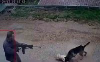 Kavga eden sokak köpeklerine tüfekle ateş edip bir köpeği öldürdü
