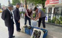 Ürettiği patlıcanlar maliyetini kurtarmayınca serasının kapılarını vatandaşlara açtı
