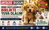 Antalya'da Bugün'den Minik Dostlara Destek