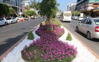 Alanya Belediyesi’nden yeşil alanlarda yoğun mesai
