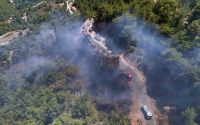 Alanya’da orman yangını 3 saatte kontrol altına alındı
