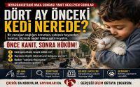 Dört Ay Önceki Kedi Nerede?