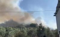Aksu’da ormanlık ve zeytinlik alanda yangın
