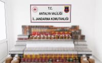 Manavgat’ta 36 bin makaron, 35 kilo kıyılmış tütün ele geçirildi

