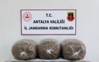 Antalya’da üç ilçede kaçak tütün operasyonu: 400 kilogram tütün ele geçirildi
